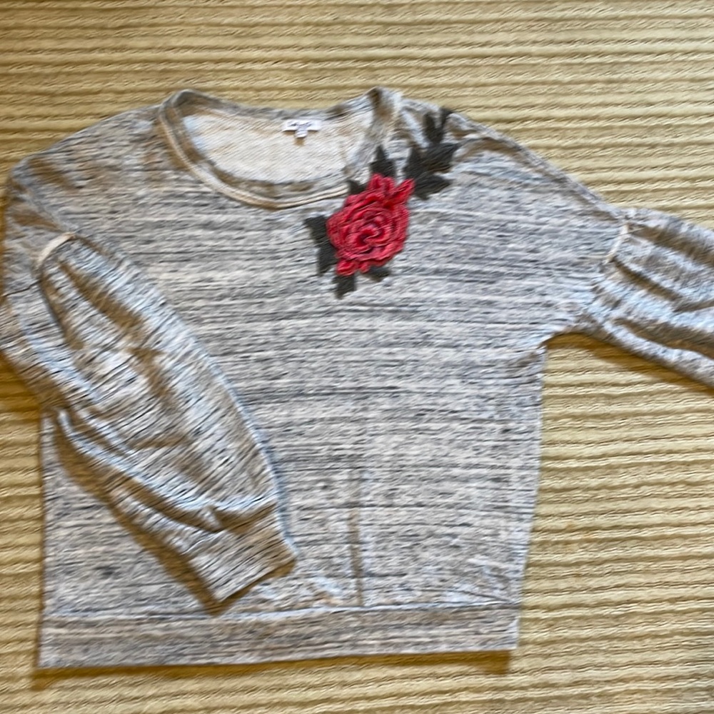 Splendid sweatshirt